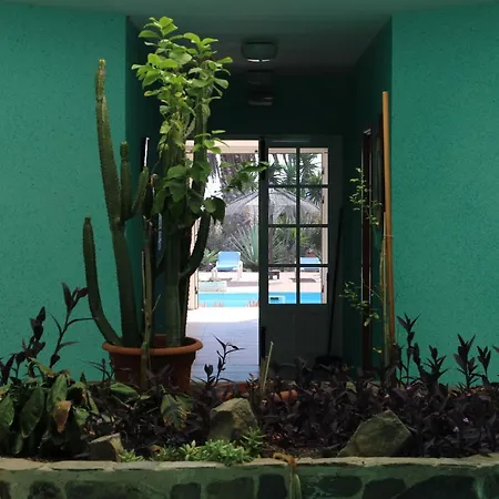 Beautiful 2-bed In Parque Holandes Apartment